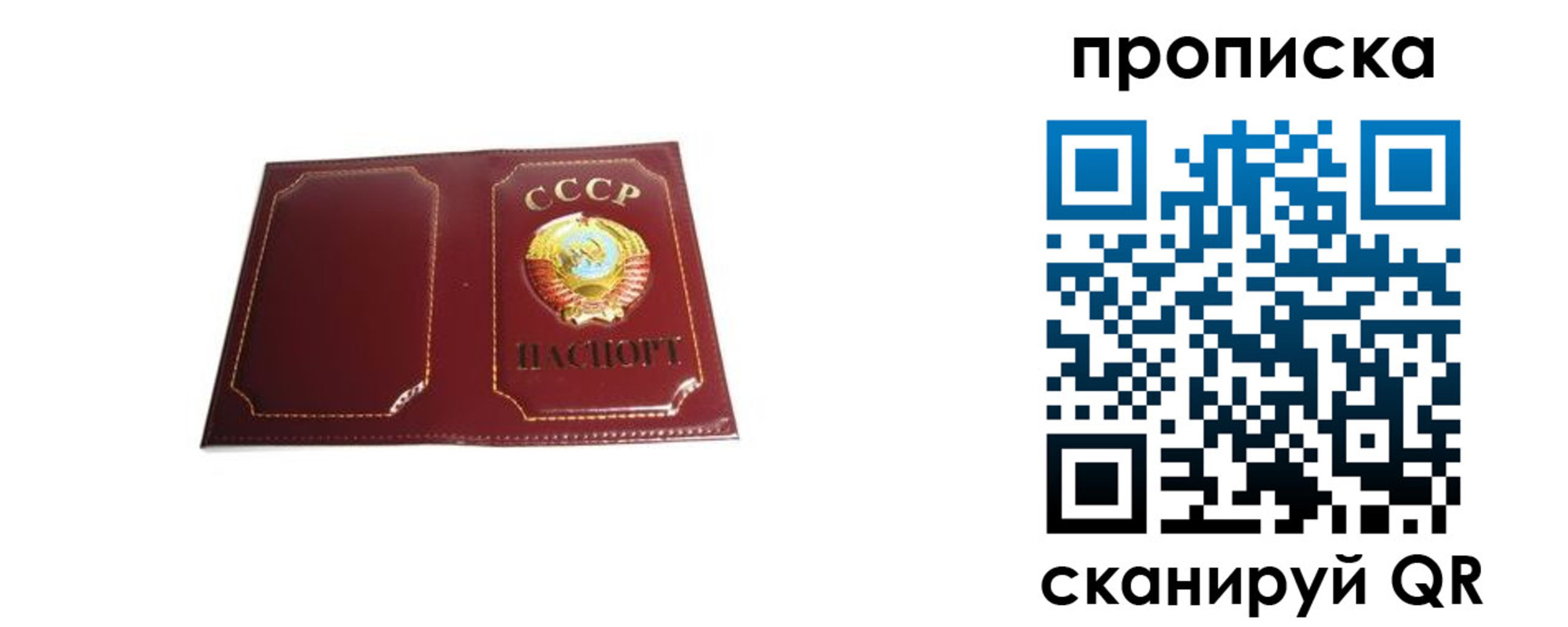 прописка гарантия в Курганской области